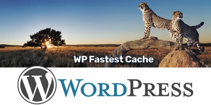 افزونه افزایش سرعت وردپرس WP Fastest Cache Premium 0.8.8.9